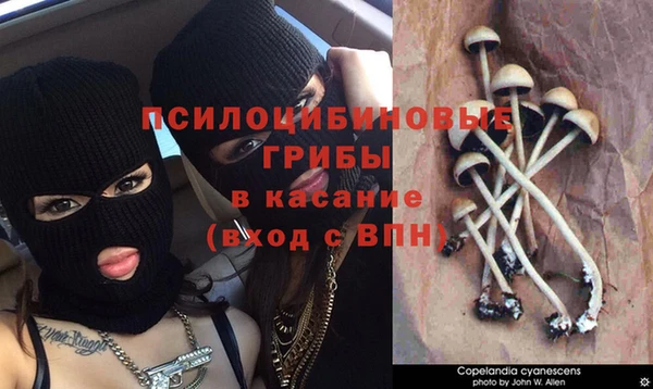 дистиллят марихуана Кодинск