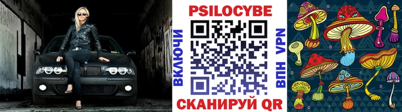 Псилоцибиновые грибы мицелий  Купить  Богородицк 