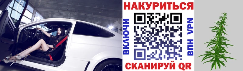Купить закладки  Богородицк  Бошки Шишки конопля 